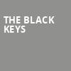 The Black Keys, KFC Yum Center, Louisville