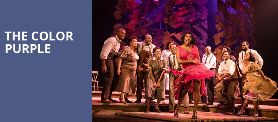 The Color Purple, Whitney Hall, Louisville