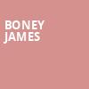 Boney James, Iroquois Amphitheater, Louisville